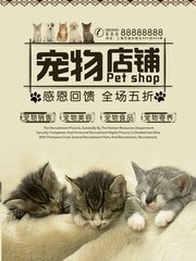TPWallet钱包安卓版